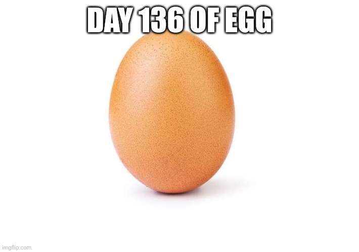 EGG | DAY 136 OF EGG | image tagged in eggbert,egg,eggs | made w/ Imgflip meme maker