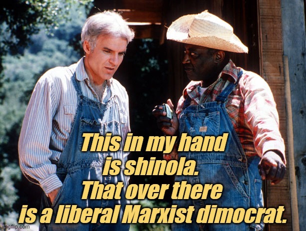 Now you know the difference... | This in my hand is shinola. 
That over there 
is a liberal Marxist dimocrat. | image tagged in liberals,democrats,lgbtq,blm,antifa,criminals | made w/ Imgflip meme maker