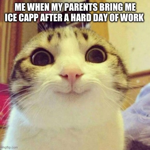 Smiling Cat | ME WHEN MY PARENTS BRING ME ICE CAPP AFTER A HARD DAY OF WORK | image tagged in memes,smiling cat | made w/ Imgflip meme maker