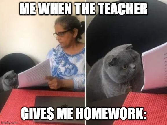 Image tagged in school cat - Imgflip