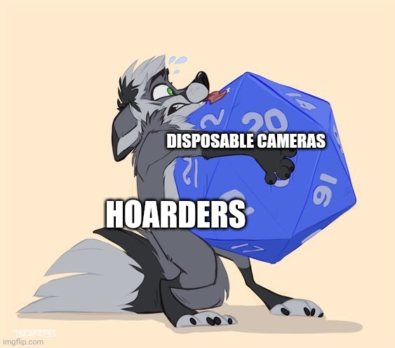 But I need these disposable cameras!!!! | DISPOSABLE CAMERAS; HOARDERS | image tagged in trying to hold a heavy thing,hoarders | made w/ Imgflip meme maker