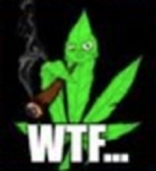 weed wtf Blank Meme Template