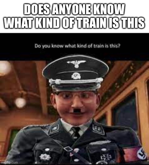 Do you know what kind of train is this | DOES ANYONE KNOW WHAT KIND OF TRAIN IS THIS | image tagged in memes,offensive,funny,train,nazi,polar express | made w/ Imgflip meme maker