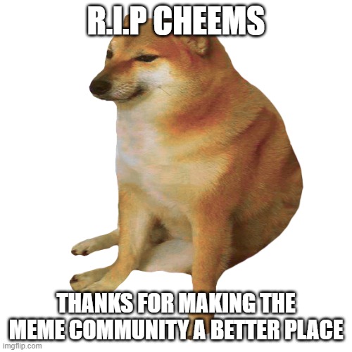 Goodbye Cheems We're Gonna Miss You <3 | R.I.P CHEEMS; THANKS FOR MAKING THE MEME COMMUNITY A BETTER PLACE | image tagged in cheems | made w/ Imgflip meme maker
