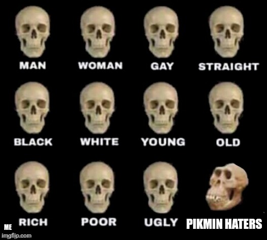 idiot skull | PIKMIN HATERS; ME | image tagged in idiot skull | made w/ Imgflip meme maker