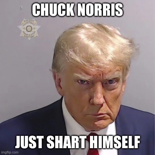 Trump Norris | CHUCK NORRIS; JUST SHART HIMSELF | image tagged in donald trump | made w/ Imgflip meme maker