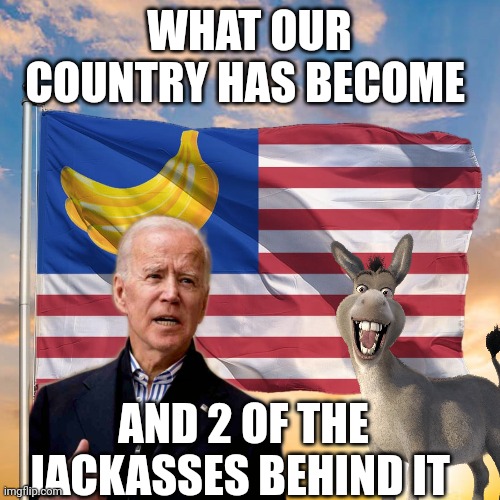 Joe biden | WHAT OUR COUNTRY HAS BECOME; AND 2 OF THE JACKASSES BEHIND IT | image tagged in jackass | made w/ Imgflip meme maker