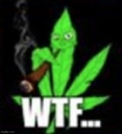 weed wtf | image tagged in weed wtf | made w/ Imgflip meme maker