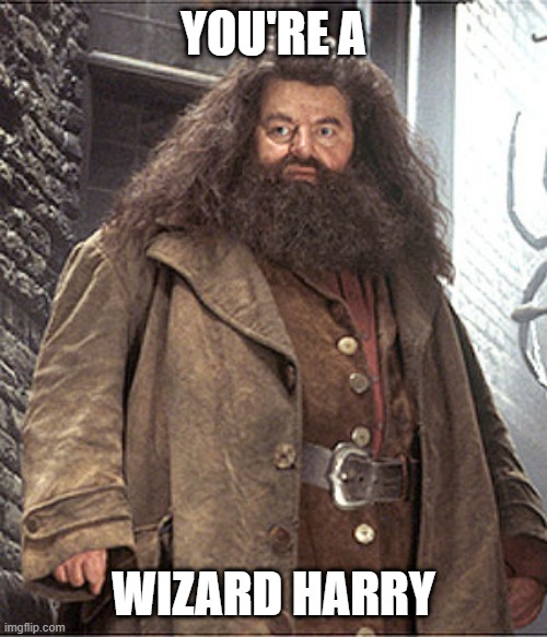 YOU'RE A; WIZARD HARRY | made w/ Imgflip meme maker