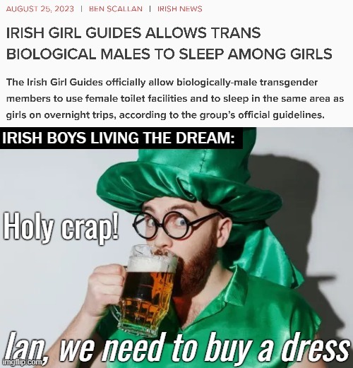 Basically | image tagged in irish guy,politics,sarcasm | made w/ Imgflip meme maker
