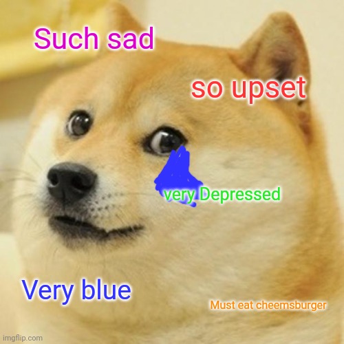 Doge | Such sad; so upset; very Depressed; Very blue; Must eat cheemsburger | image tagged in memes,doge | made w/ Imgflip meme maker