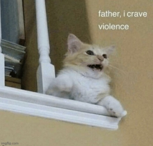 father, I crave violence cat | image tagged in father i crave violence cat | made w/ Imgflip meme maker