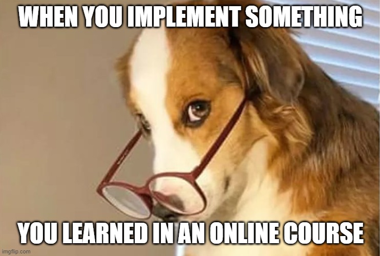 Dog glasses | WHEN YOU IMPLEMENT SOMETHING; YOU LEARNED IN AN ONLINE COURSE | image tagged in dog glasses | made w/ Imgflip meme maker