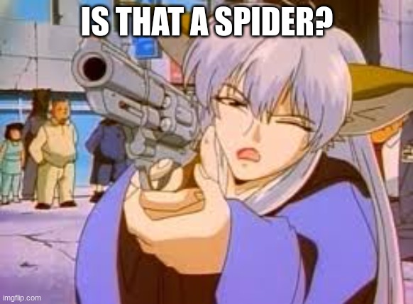 me when spider | IS THAT A SPIDER? | image tagged in guns | made w/ Imgflip meme maker