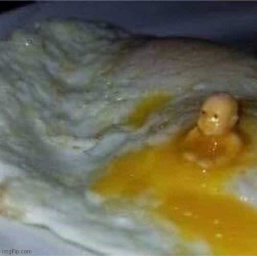 Woooaaahh oooohaoh oh oh oh story of howtobasic... I fell from the store and look what I find a pile of eggs idk anymore | made w/ Imgflip meme maker