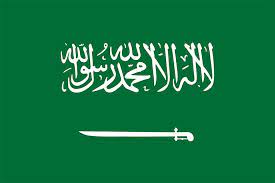 Saudi Arabia Flag Blank Meme Template