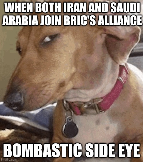 Iran-Saudi Relations Bombastsic Side Eye | WHEN BOTH IRAN AND SAUDI ARABIA JOIN BRIC'S ALLIANCE; BOMBASTIC SIDE EYE | image tagged in side eye dog | made w/ Imgflip meme maker