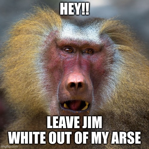 HEY!! LEAVE JIM WHITE OUT OF MY ARSE | made w/ Imgflip meme maker