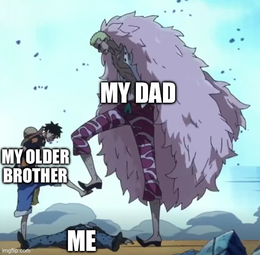 Lol | MY DAD; MY OLDER BROTHER; ME | image tagged in one piece luffy doflamingo stop,memes,funny,relatable,one piece,doflamingo | made w/ Imgflip meme maker