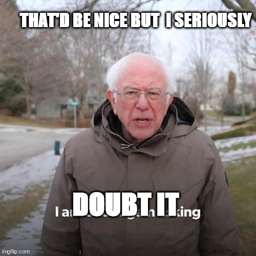 Bernie I Am Once Again Asking For Your Support Meme | THAT'D BE NICE BUT  I SERIOUSLY DOUBT IT | image tagged in memes,bernie i am once again asking for your support | made w/ Imgflip meme maker