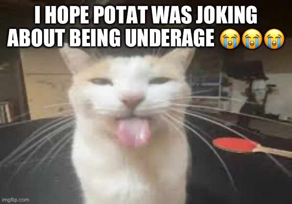 Cat | I HOPE POTAT WAS JOKING ABOUT BEING UNDERAGE 😭😭😭 | image tagged in cat | made w/ Imgflip meme maker