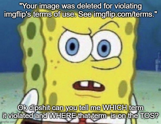 confused spongebob | "Your image was deleted for violating imgflip's terms of use. See imgflip.com/terms."; Ok dipshit can you tell me WHICH term it violated and WHERE that term  is on the TOS? | image tagged in confused spongebob | made w/ Imgflip meme maker