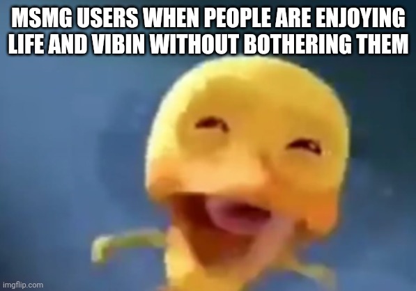 crying duck | MSMG USERS WHEN PEOPLE ARE ENJOYING LIFE AND VIBIN WITHOUT BOTHERING THEM | image tagged in crying duck | made w/ Imgflip meme maker