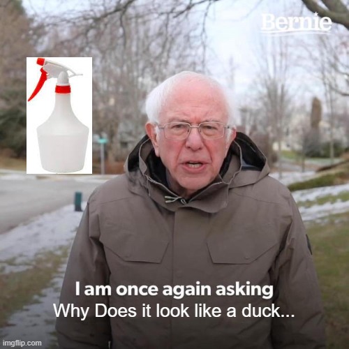 IDK WHY THO... | Why Does it look like a duck... | image tagged in memes,bernie i am once again asking for your support | made w/ Imgflip meme maker