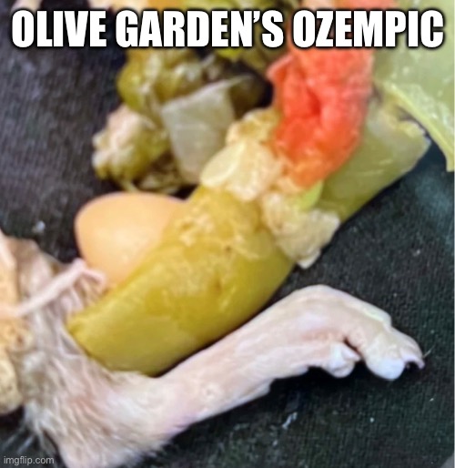 Ozempic, Olive Garden, | OLIVE GARDEN’S OZEMPIC | image tagged in funny,repost | made w/ Imgflip meme maker