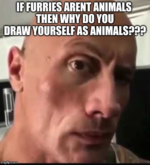 please explain to me. this is not anti furry | IF FURRIES ARENT ANIMALS 
THEN WHY DO YOU DRAW YOURSELF AS ANIMALS??? | image tagged in dwayne johnson eyebrow raise | made w/ Imgflip meme maker