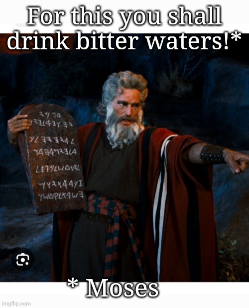 For this you shall drink bitter waters!* * Moses | made w/ Imgflip meme maker