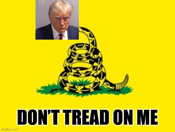 Biden did this | DON’T TREAD ON ME | image tagged in gadsden flag,trump,biden,doj,corrupt | made w/ Imgflip meme maker