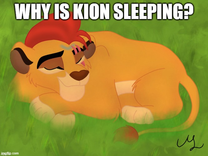 A mentally sick piece of garbage | WHY IS KION SLEEPING? | image tagged in a mentally sick piece of garbage | made w/ Imgflip meme maker