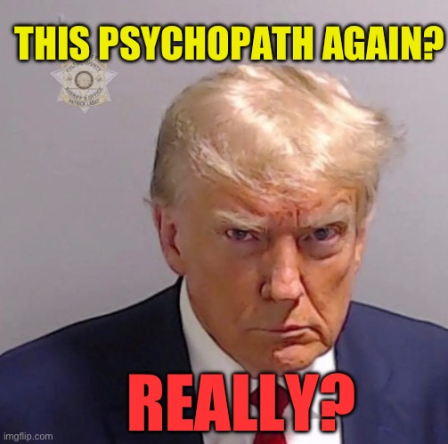 THIS PSYCHOPATH AGAIN? REALLY? | THIS PSYCHOPATH AGAIN? REALLY? | image tagged in mug shot,trump,fani willis,215 pounds | made w/ Imgflip meme maker