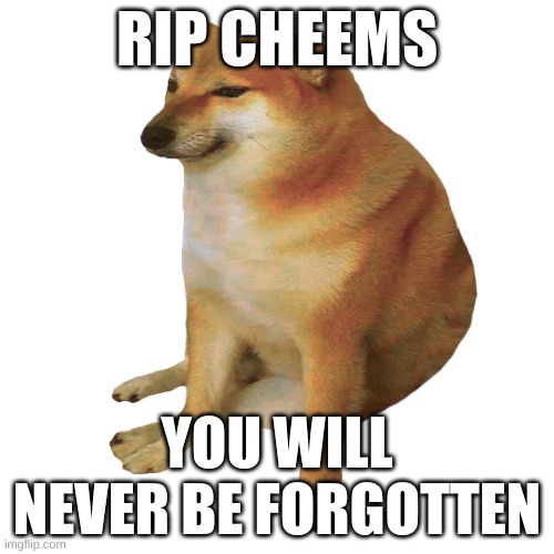 cheems | RIP CHEEMS; YOU WILL NEVER BE FORGOTTEN | image tagged in cheems | made w/ Imgflip meme maker