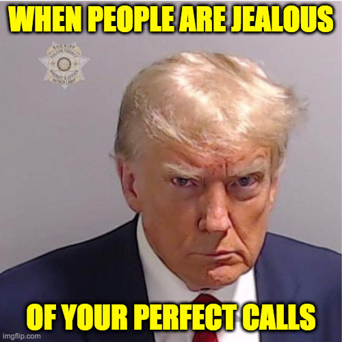Public enema number one. | WHEN PEOPLE ARE JEALOUS; OF YOUR PERFECT CALLS | image tagged in memes,trump mug shot,perfect call,criminal,public enema number one | made w/ Imgflip meme maker