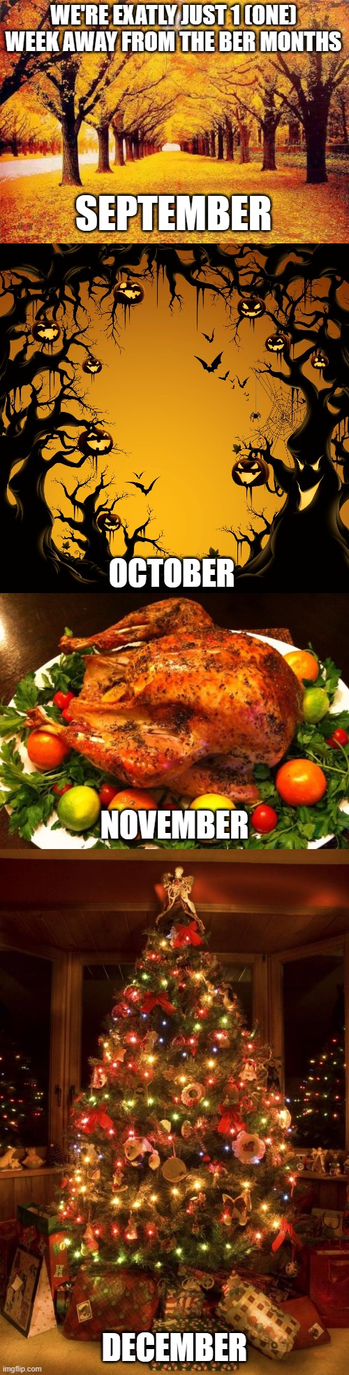 WE'RE EXATLY JUST 1 (ONE) WEEK AWAY FROM THE BER MONTHS; SEPTEMBER; OCTOBER; NOVEMBER; DECEMBER | image tagged in autumn trees,halloween,roasted turkey,christmas tree | made w/ Imgflip meme maker
