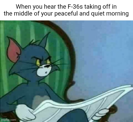 GOD, WHY ARE THEY SO LOUD?!!?!? | When you hear the F-36s taking off in the middle of your peaceful and quiet morning | image tagged in tom cat wtf,fun,memes | made w/ Imgflip meme maker