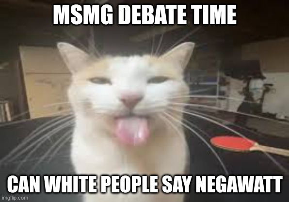 Cat | MSMG DEBATE TIME; CAN WHITE PEOPLE SAY NEGAWATT | image tagged in cat | made w/ Imgflip meme maker