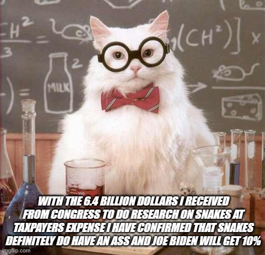 cat scientist | WITH THE 6.4 BILLION DOLLARS I RECEIVED FROM CONGRESS TO DO RESEARCH ON SNAKES AT TAXPAYERS EXPENSE I HAVE CONFIRMED THAT SNAKES DEFINITELY DO HAVE AN ASS AND JOE BIDEN WILL GET 10% | image tagged in cat scientist | made w/ Imgflip meme maker