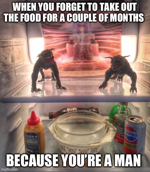 WHEN YOU FORGET TO TAKE OUT THE FOOD FOR A COUPLE OF MONTHS; BECAUSE YOU’RE A MAN | image tagged in men,zuul | made w/ Imgflip meme maker