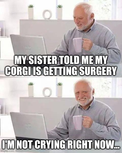this is true... I'm really sad... | MY SISTER TOLD ME MY CORGI IS GETTING SURGERY; I'M NOT CRYING RIGHT NOW... | image tagged in memes,hide the pain harold,sad,corgi,crying | made w/ Imgflip meme maker