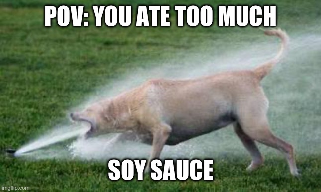 It be like that | POV: YOU ATE TOO MUCH; SOY SAUCE | image tagged in thirsty dog,soy sauce,relatable,relatable memes | made w/ Imgflip meme maker