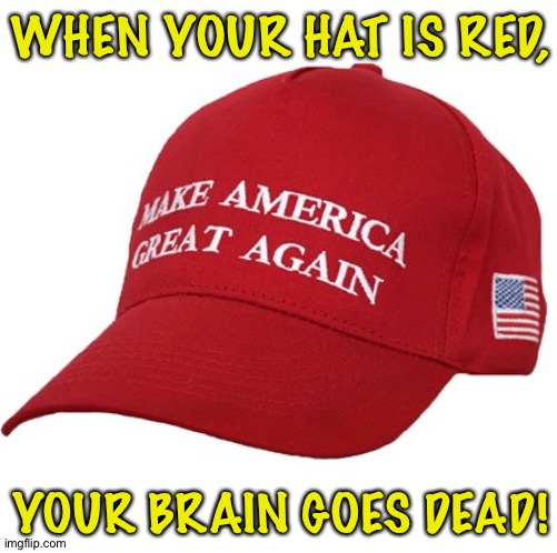 MAGA HAT | WHEN YOUR HAT IS RED, YOUR BRAIN GOES DEAD! | image tagged in maga hat | made w/ Imgflip meme maker