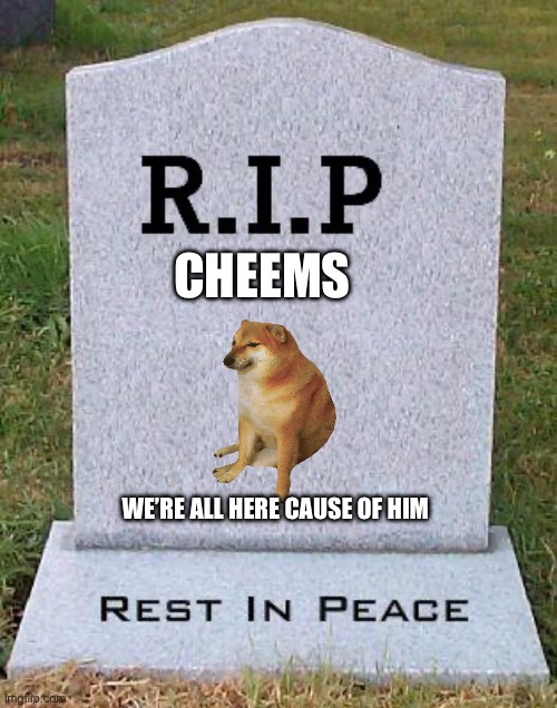RIP headstone | CHEEMS; WE’RE ALL HERE CAUSE OF HIM | image tagged in rip headstone,cheems | made w/ Imgflip meme maker