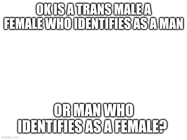 Actual serious question | OK IS A TRANS MALE A FEMALE WHO IDENTIFIES AS A MAN; OR MAN WHO IDENTIFIES AS A FEMALE? | image tagged in confused | made w/ Imgflip meme maker