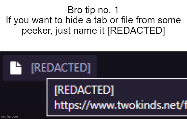 Bro tip no. 1
If you want to hide a tab or file from some peeker, just name it [REDACTED] | image tagged in memes,scp meme,redacted | made w/ Imgflip meme maker