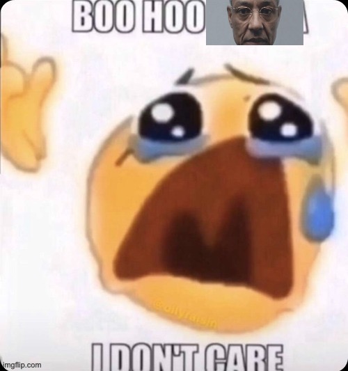 boo hoo I don't care | image tagged in boo hoo i don't care | made w/ Imgflip meme maker