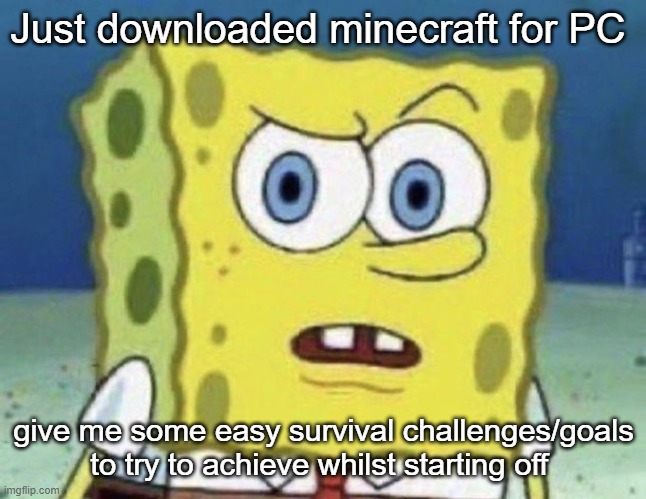 confused spongebob | Just downloaded minecraft for PC; give me some easy survival challenges/goals to try to achieve whilst starting off | image tagged in confused spongebob | made w/ Imgflip meme maker