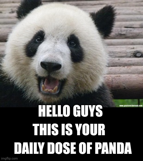 happy panda meme
